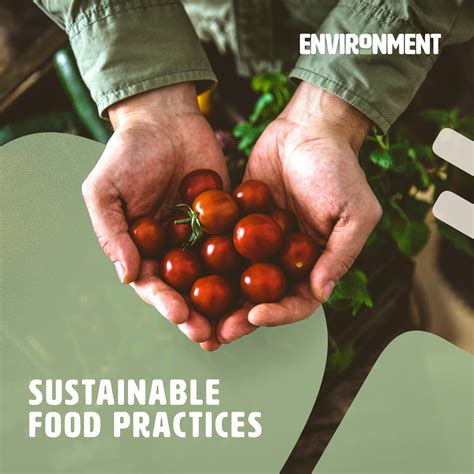 Sustainable Practices in the Industry - Machines in Food Industries